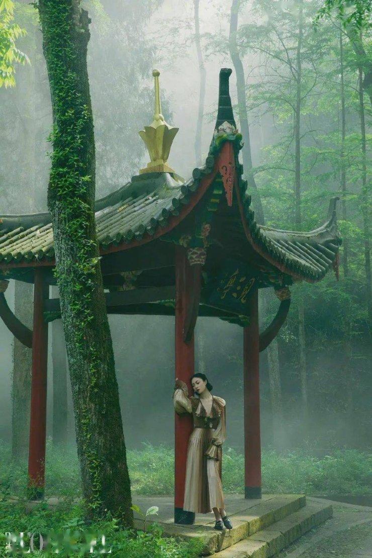 救援受困的狼人