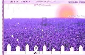 聚生命色彩，让爱不流浪