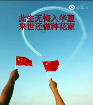 穿越遗弃的森林